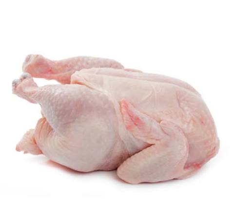 Poulets de chair déplumés frais (1,6 kg à 1,9 kg)